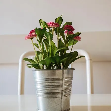 Marina Bike Family Apartment *