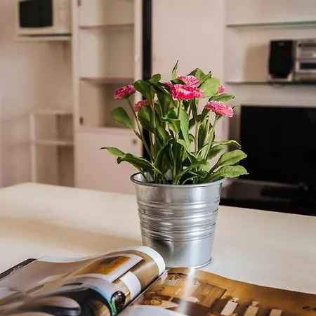 Marina Bike Family Apartment